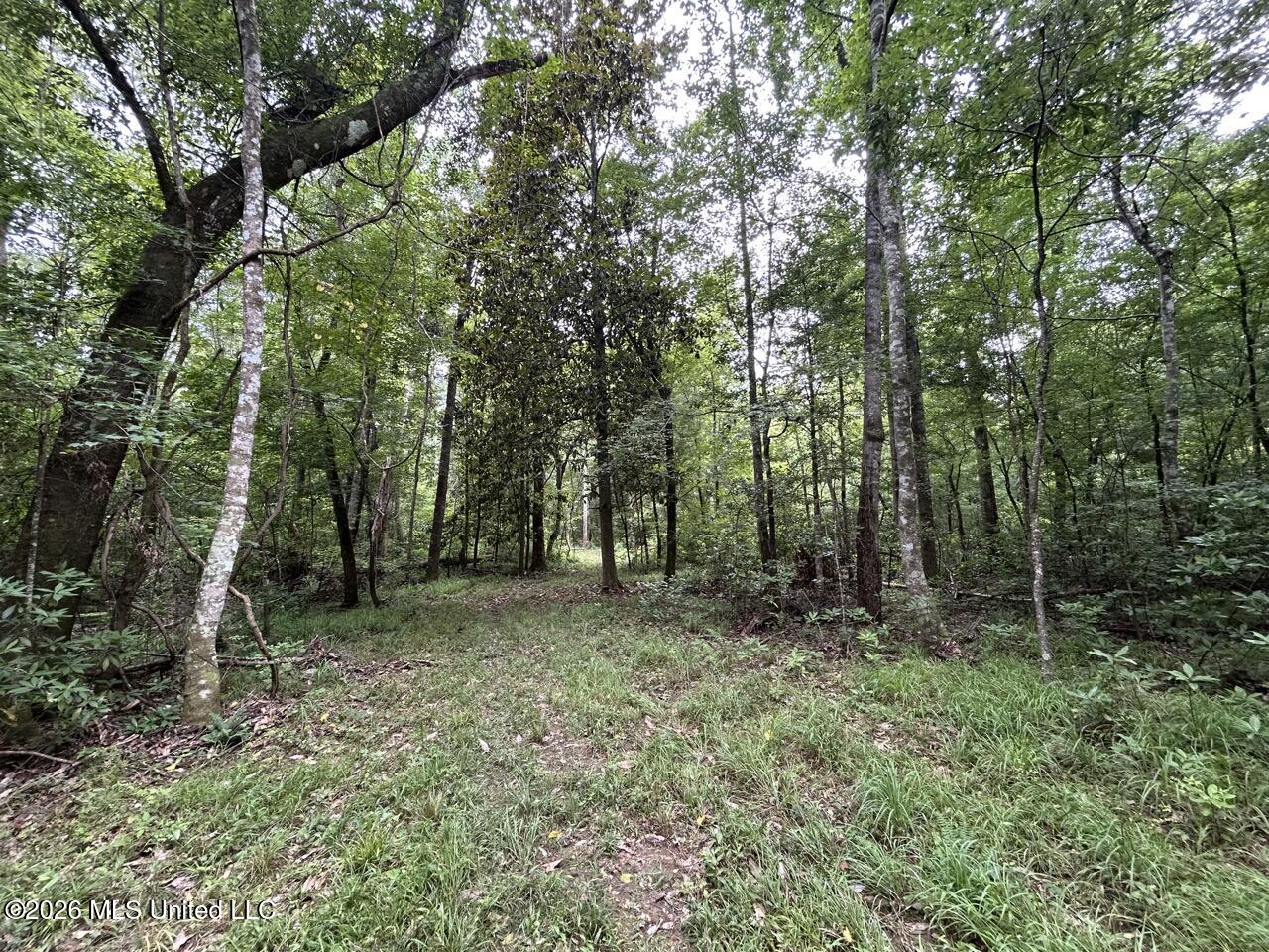 6642 Grange Hall Road Osyka, MS 39657 - Photo 27 of 50 IMG_4385 Large