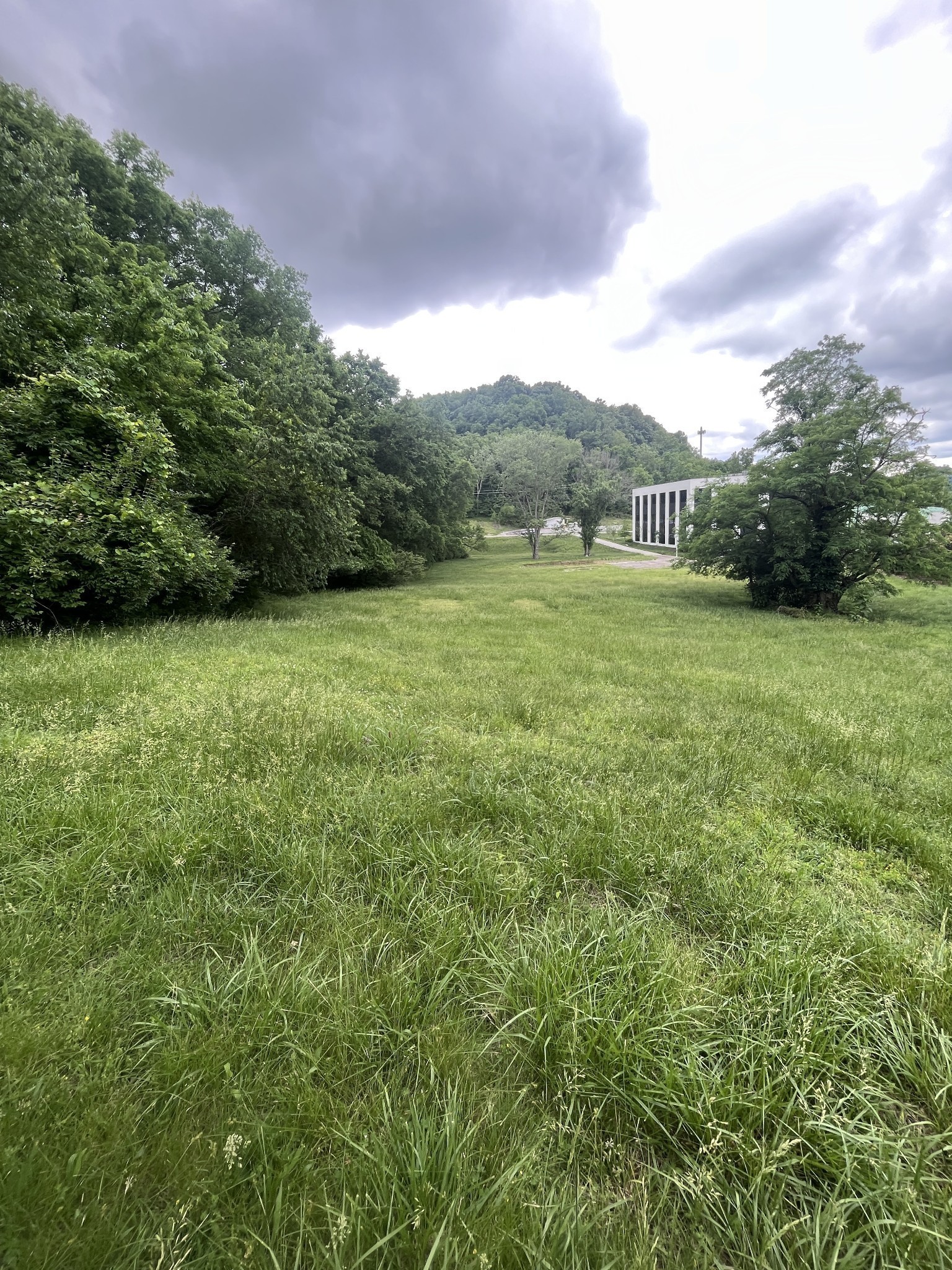 1535 Franklin Road Brentwood, TN 37027 - Photo 3 of 8 a view of a field of grass and trees