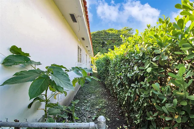 a plant with a plant