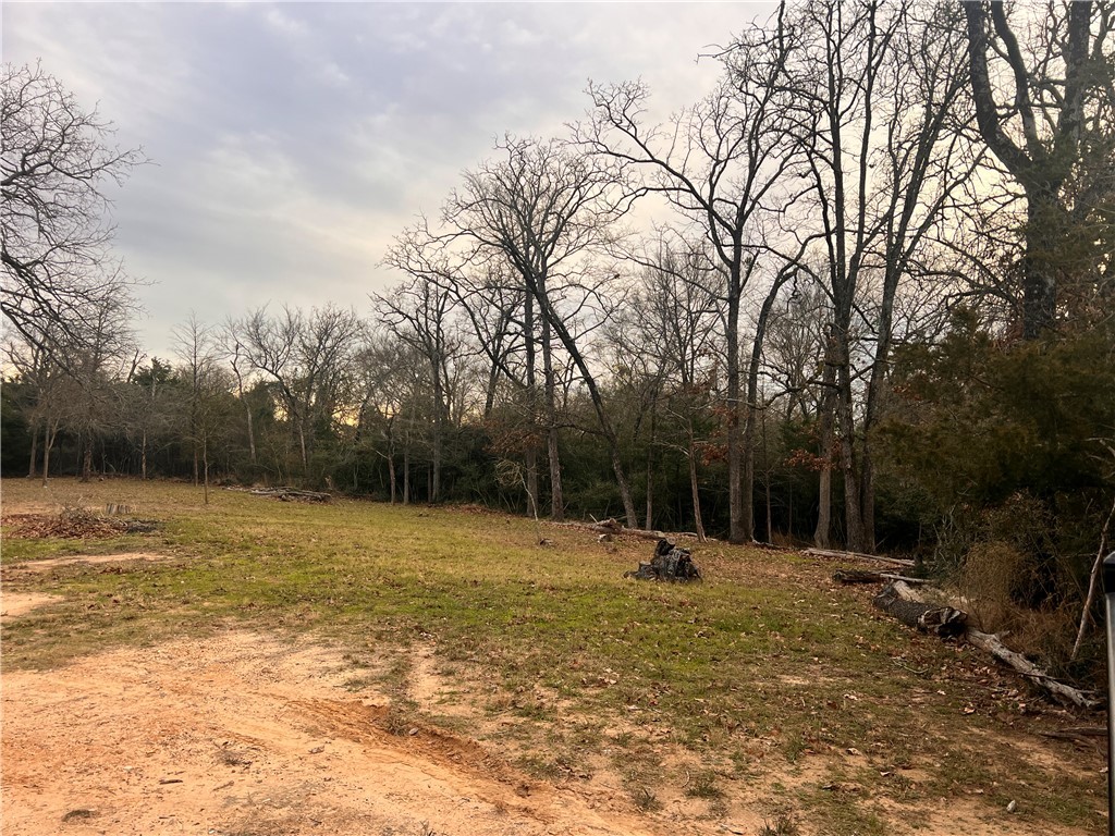 159 Lcr 904 Jewett, TX 75846 - Photo 15 of 20 a view of a park