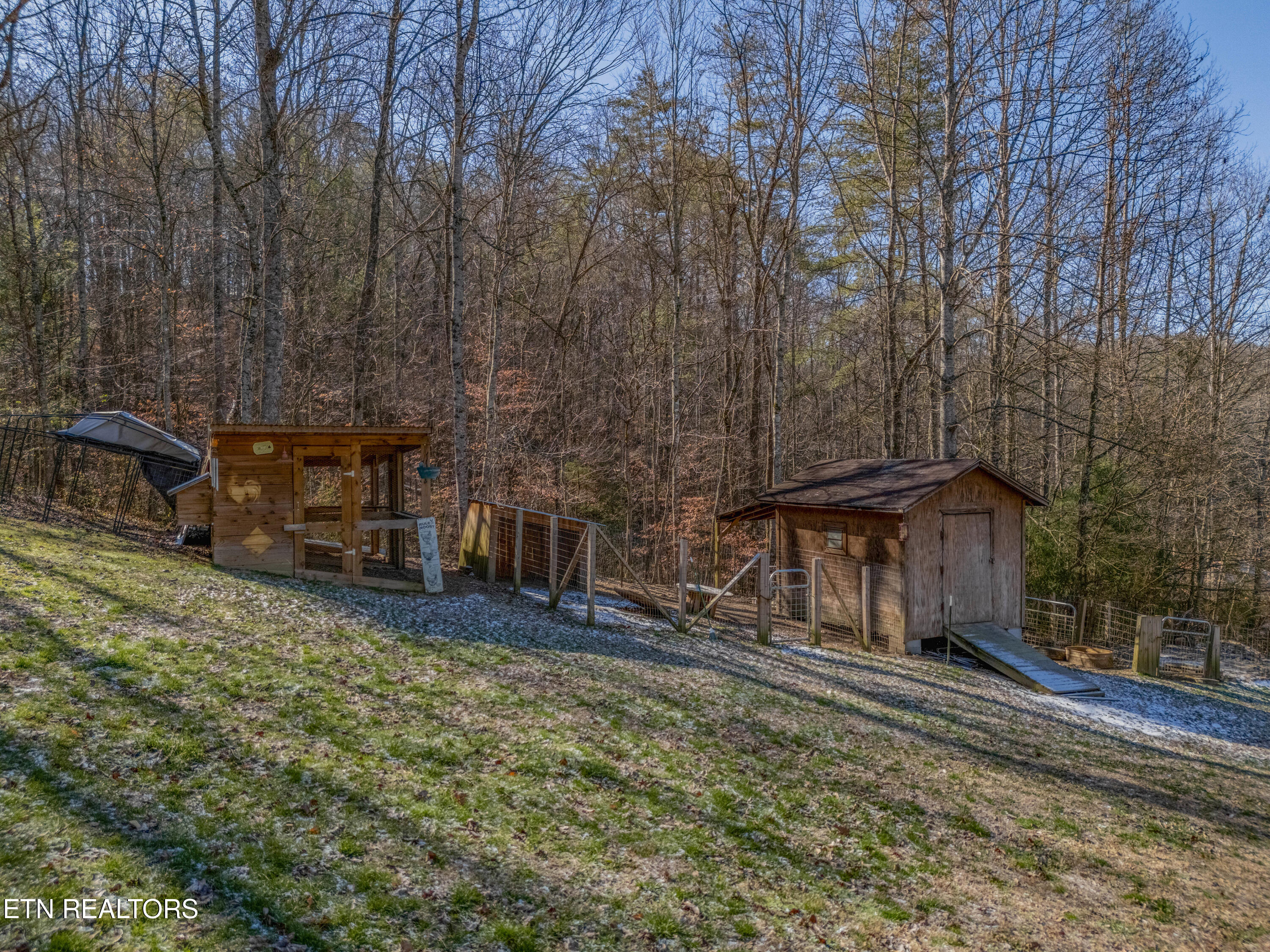 161 Adcock Hollow Road Harriman, TN 37748 - Photo 37 of 41 DJI_20260128005830_0882_D-HDR