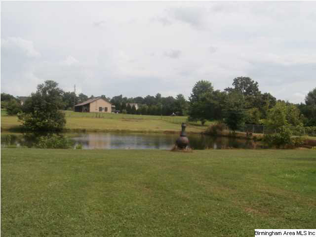 27216 Highway 79 Locust Fork, AL 35097 - Photo 9 of 9