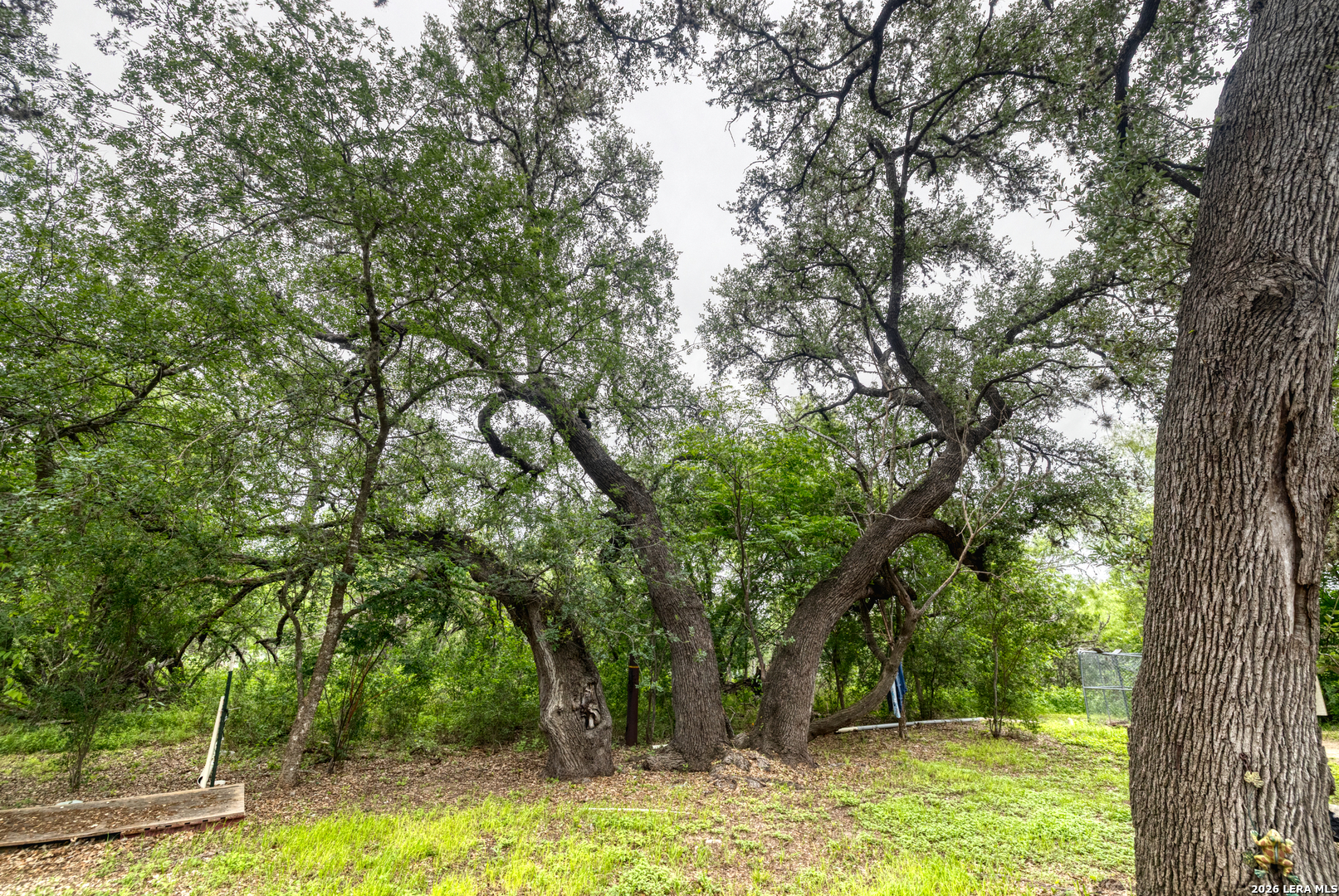 6197 Ranch Road 1120 Rio Frio, TX 78879 - Photo 2 of 25