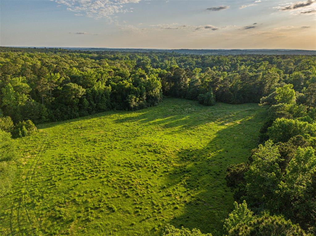 0 Farm To Market Road 1857 Rusk, TX 75785 - Photo 1 of 1 Gallery Image 1
