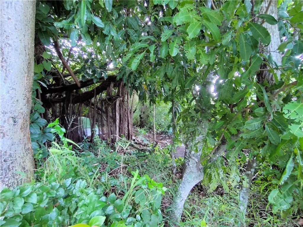 5470 Southeast Ebbtide Avenue Stuart, FL 34997 - Photo 12 of 40 a backyard of a house with lots of green space