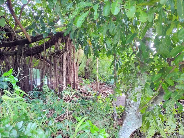 a backyard of a house with lots of green space