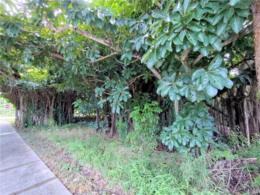 5470 Southeast Ebbtide Avenue Stuart, FL 34997 - Photo 14 of 40 a backyard of a house with lots of green space