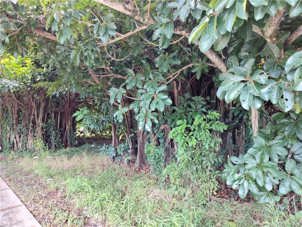 5470 Southeast Ebbtide Avenue Stuart, FL 34997 - Photo 15 of 40 a backyard of a house with lots of green space