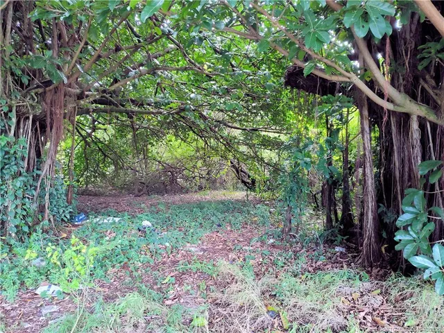 a view of outdoor space and tree