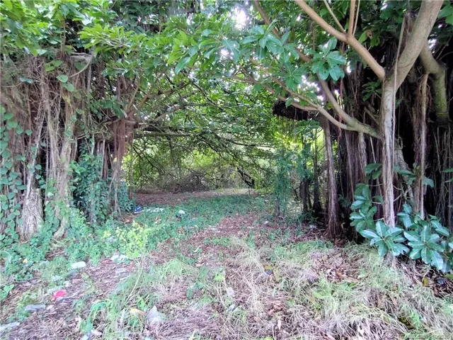 a view of backyard with green space