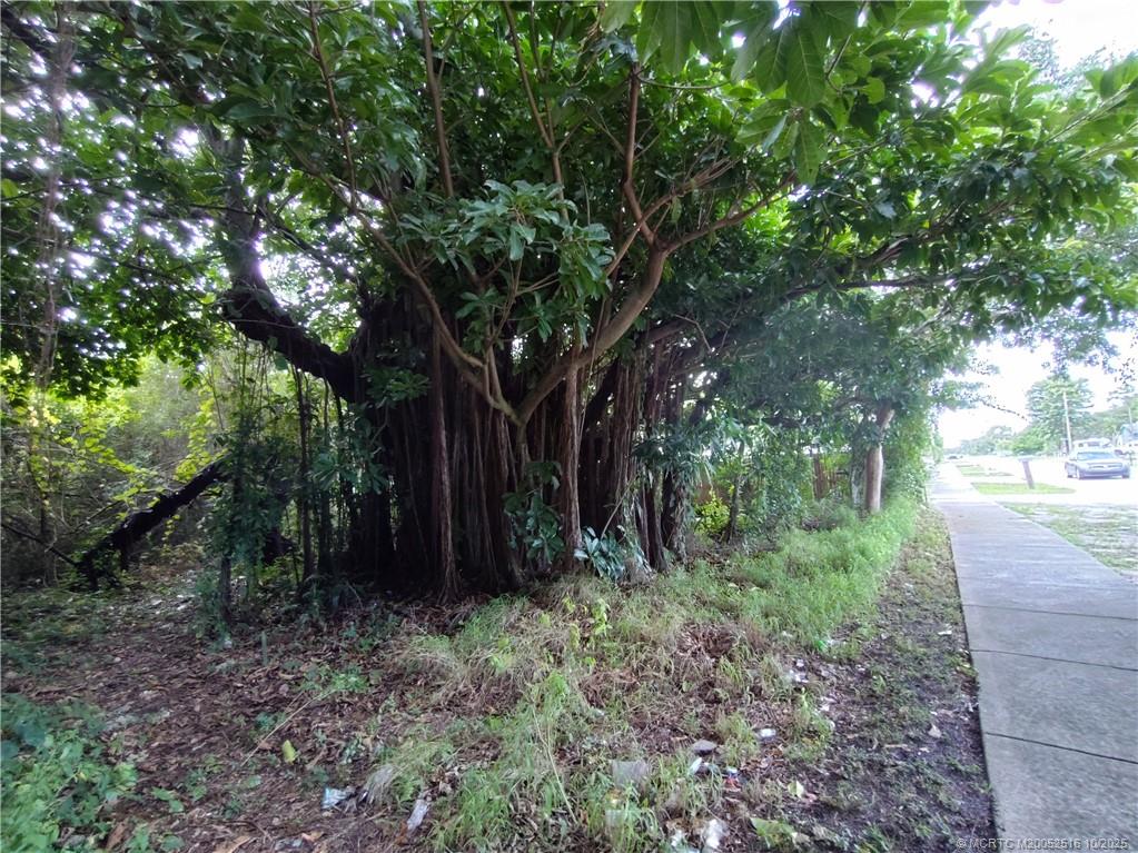 5470 Southeast Ebbtide Avenue Stuart, FL 34997 - Photo 18 of 40 a view of outdoor space and tree