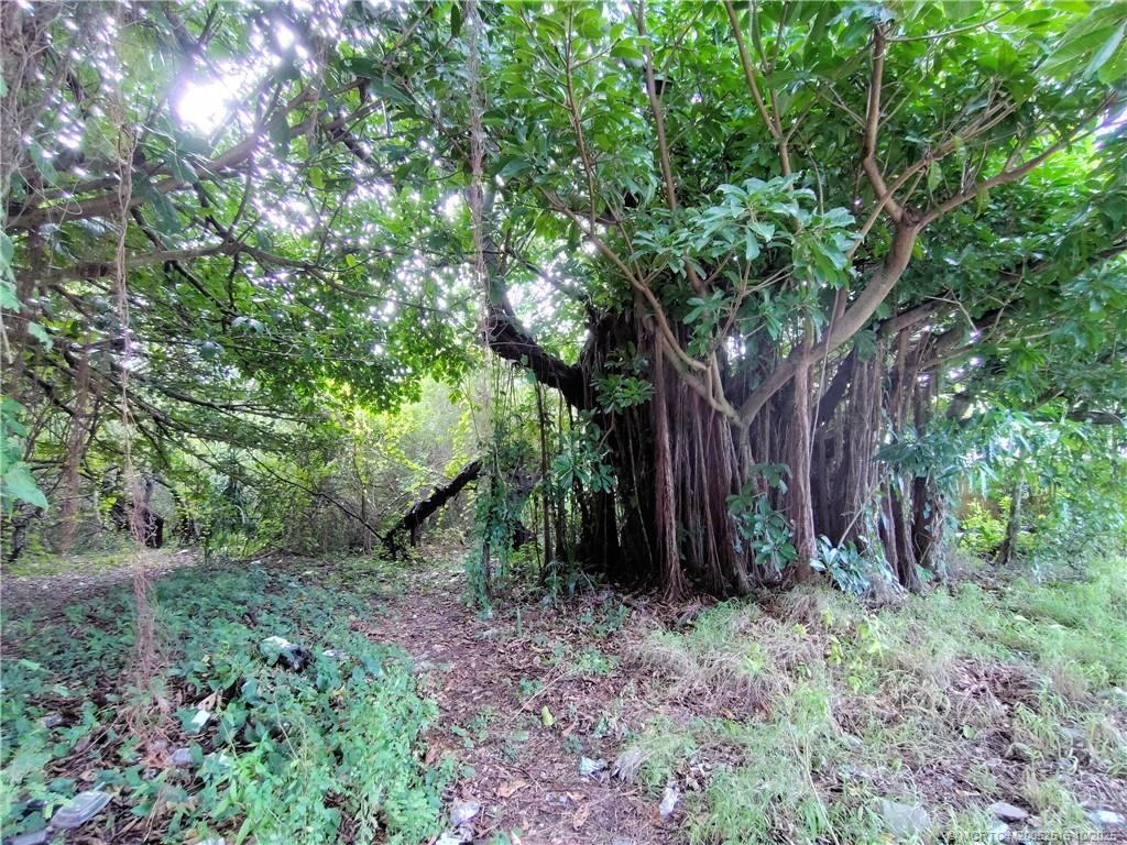 5470 Southeast Ebbtide Avenue Stuart, FL 34997 - Photo 19 of 40 a view of backyard with green space