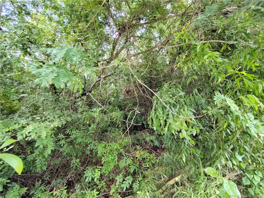 5470 Southeast Ebbtide Avenue Stuart, FL 34997 - Photo 25 of 40 a view of a lush green forest