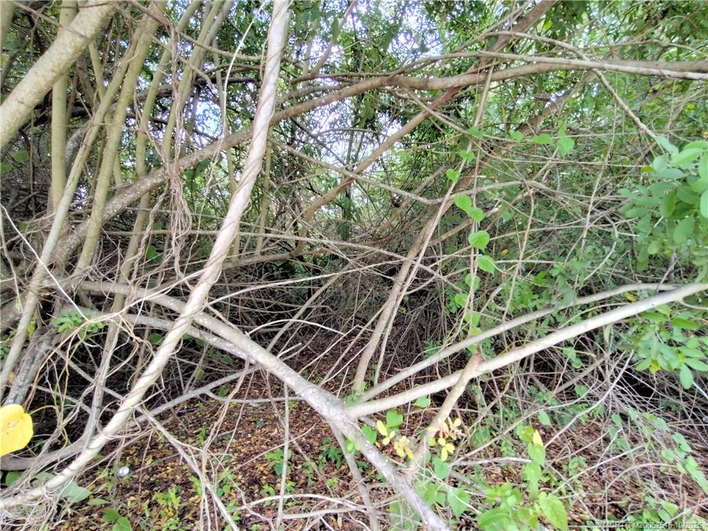 5470 Southeast Ebbtide Avenue Stuart, FL 34997 - Photo 26 of 40 view of an outdoor space with a street