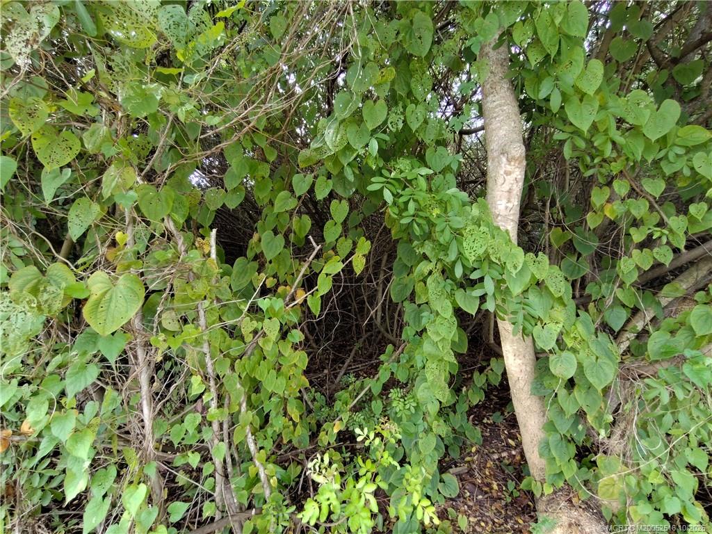 5470 Southeast Ebbtide Avenue Stuart, FL 34997 - Photo 27 of 40 a backyard of a house with lots of green space