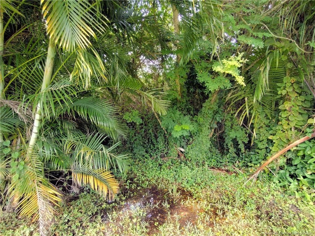 5470 Southeast Ebbtide Avenue Stuart, FL 34997 - Photo 34 of 40 a close up of a plant in a garden