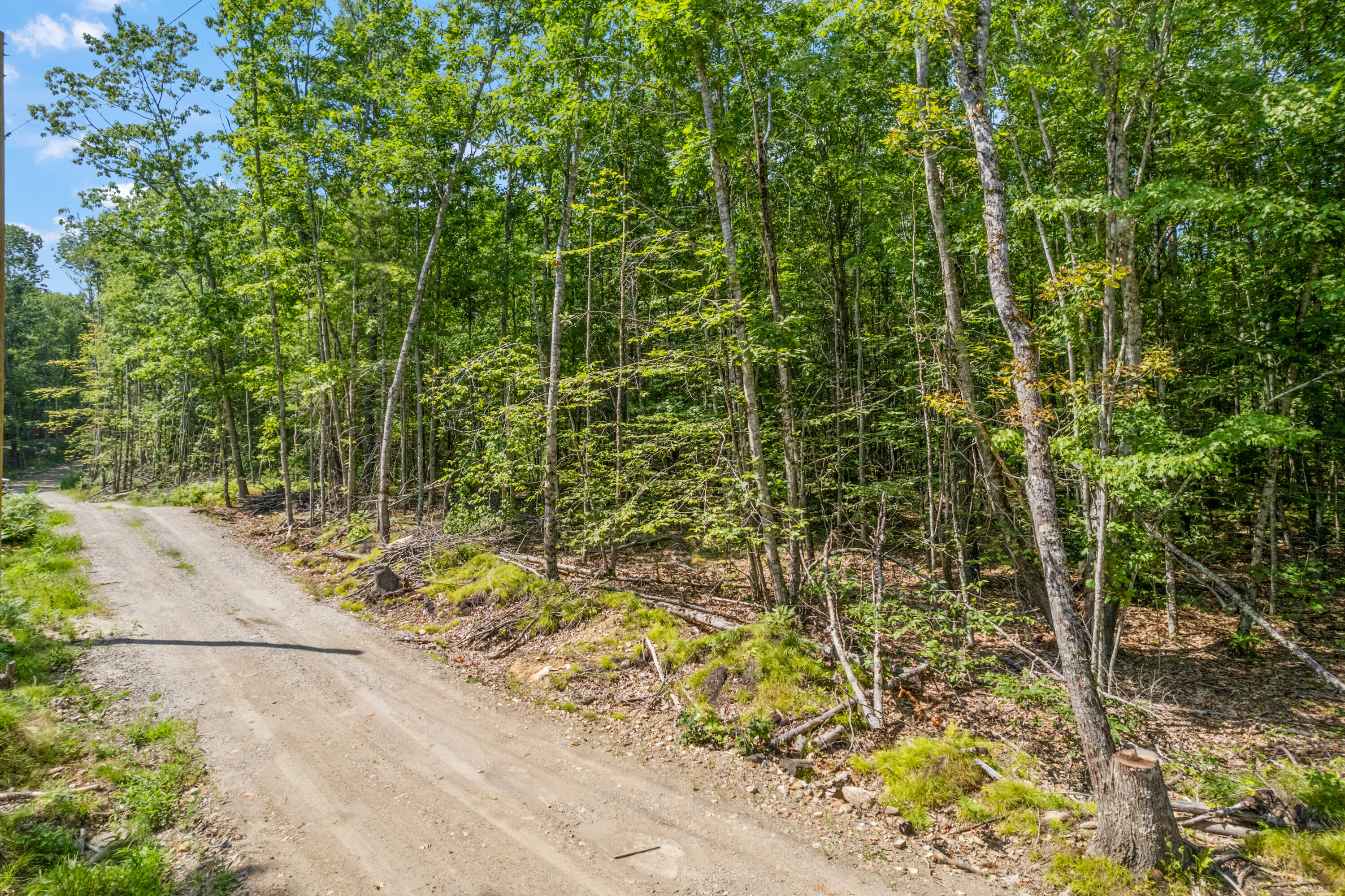 Lot 7 Badger Way Nobleboro, ME 04555 - Photo 3 of 18 Lot 7 W Neck Rd_115