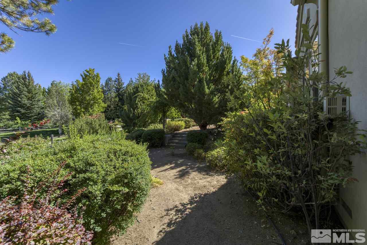 4565 Mountaingate Drive Reno, NV 89519 - Photo 25 of 25 a view of a yard with a tree
