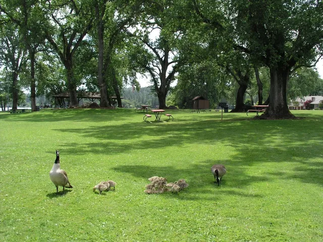 $539,000 | 18098 Lake Forest Drive, Penn Valley, CA 95946