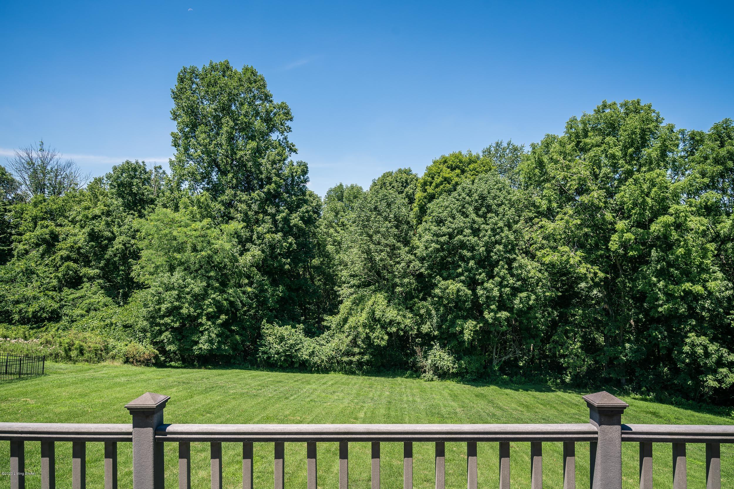 13323 Ridgemoor Drive Prospect, KY 40059 - Photo 5 of 73 lush backyard