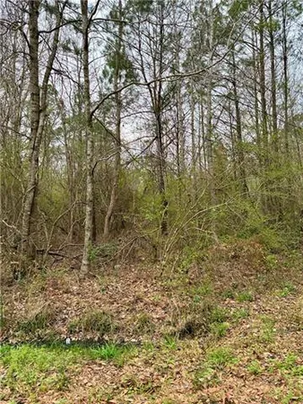 $15,000 | 0 Rose Street, Covington, LA 70435