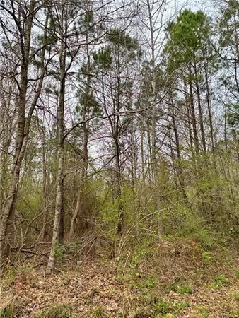 $15,000 | 0 Rose Street, Covington, LA 70435