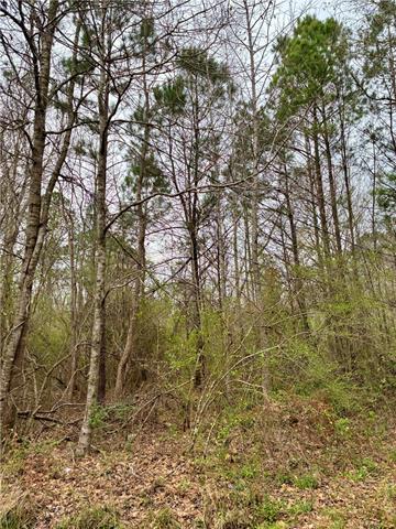 0 Rose Street Covington, LA 70435 - Photo 3 of 4