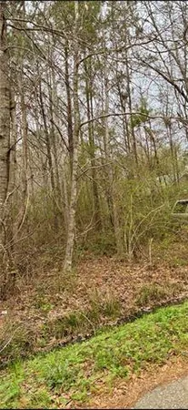 $15,000 | 0 Rose Street, Covington, LA 70435