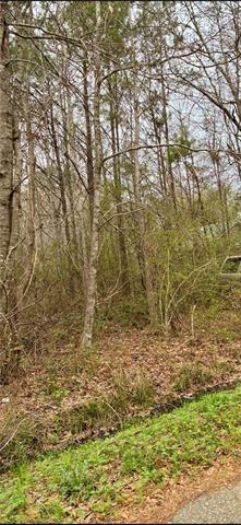 0 Rose Street Covington, LA 70435 - Photo 4 of 4