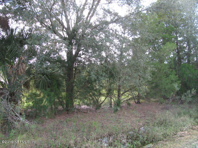 2006 West Cr2006 Road West Bunnell, FL 32110 - Photo 2 of 18 LAND VIEW THRU TREES IMG_0211
