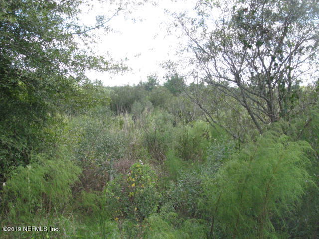 2006 West Cr2006 Road West Bunnell, FL 32110 - Photo 4 of 18 ACREAGE VIEW - NEEDS CLEARING IMG_0207