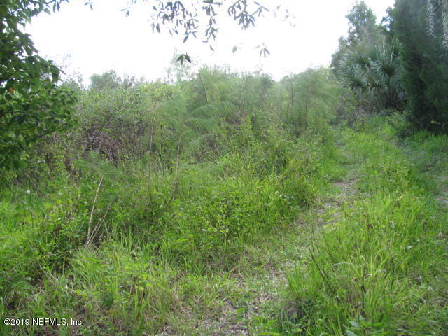 2006 West Cr2006 Road West Bunnell, FL 32110 - Photo 5 of 18 PATH IN LAND IMG_0196