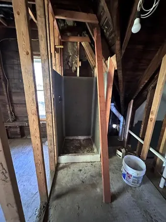 a view of a field with large trees