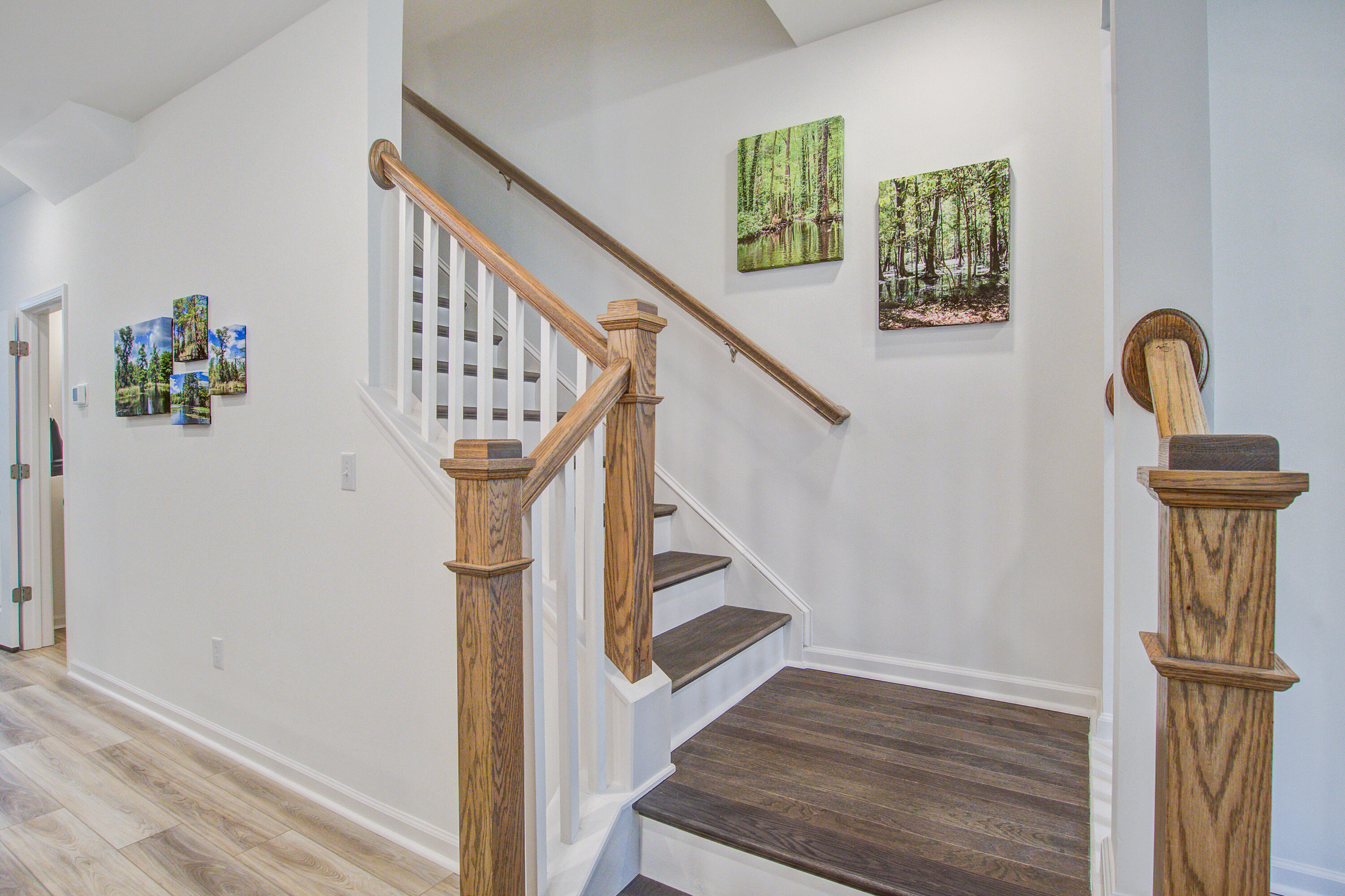 499 Trotters Lane Moncks Corner, SC 29461 - Photo 15 of 37 499 (16)