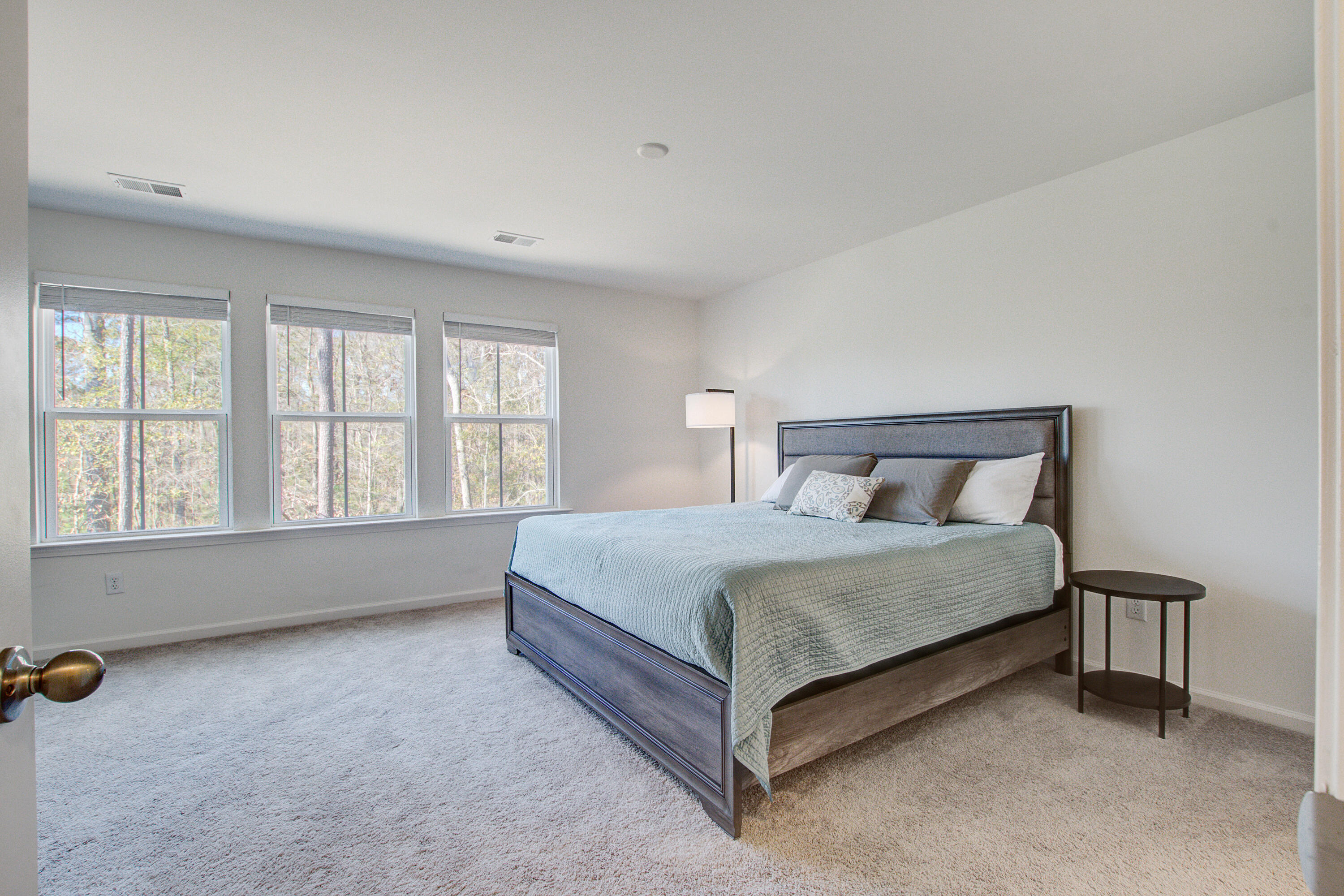 499 Trotters Lane Moncks Corner, SC 29461 - Photo 18 of 37 499 (19)