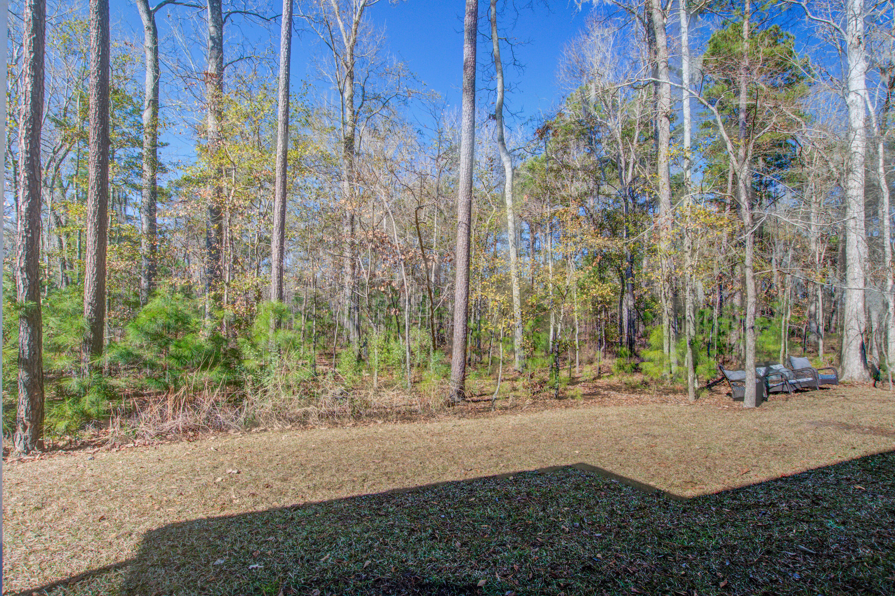 499 Trotters Lane Moncks Corner, SC 29461 - Photo 33 of 37 499 (35)