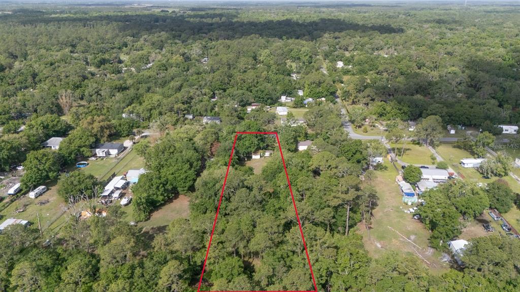 1263 St Nicholas Avenue Christmas, FL 32709 - Photo 4 of 5 a view of a houses with a lush green forest