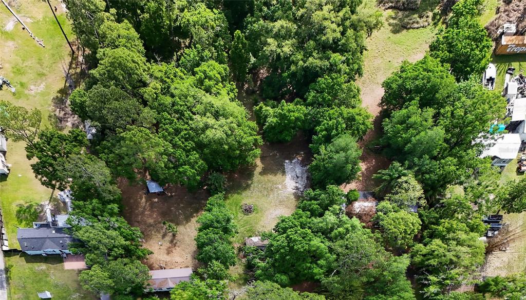 1263 St Nicholas Avenue Christmas, FL 32709 - Photo 5 of 5 an aerial view of residential house with outdoor space and trees all around