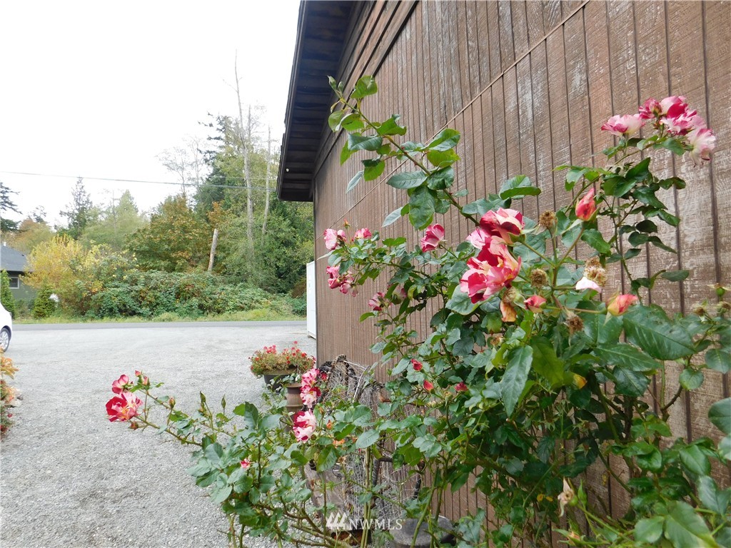 0 Wallen Road Bow, WA 98232 - Photo 6 of 25 Gallery Image 6