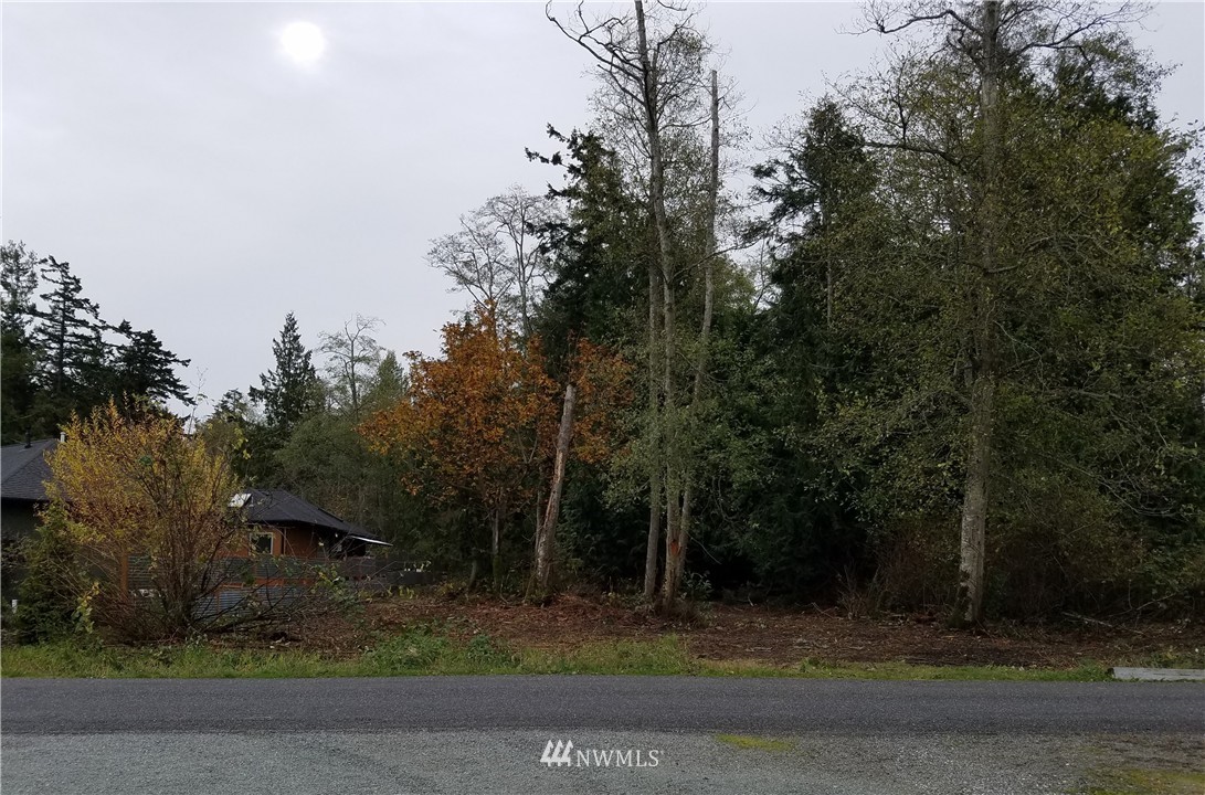 0 Wallen Road Bow, WA 98232 - Photo 7 of 25 Gallery Image 7