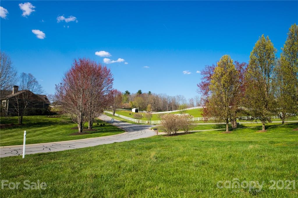 3 Waterhill Way Fletcher, NC 28732 - Photo 7 of 26 a view of a park with large trees