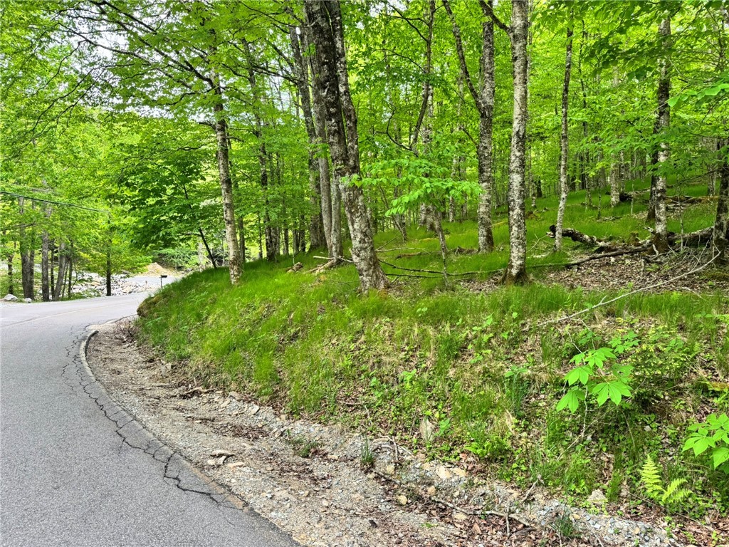 146 Hornbeam Road Beech Mountain, NC 28604 - Photo 2 of 14
