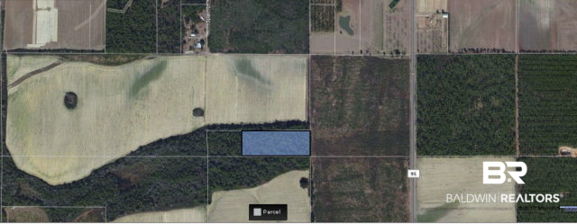 0 Spain Lane Elberta, AL 36530 - Photo 1 of 1