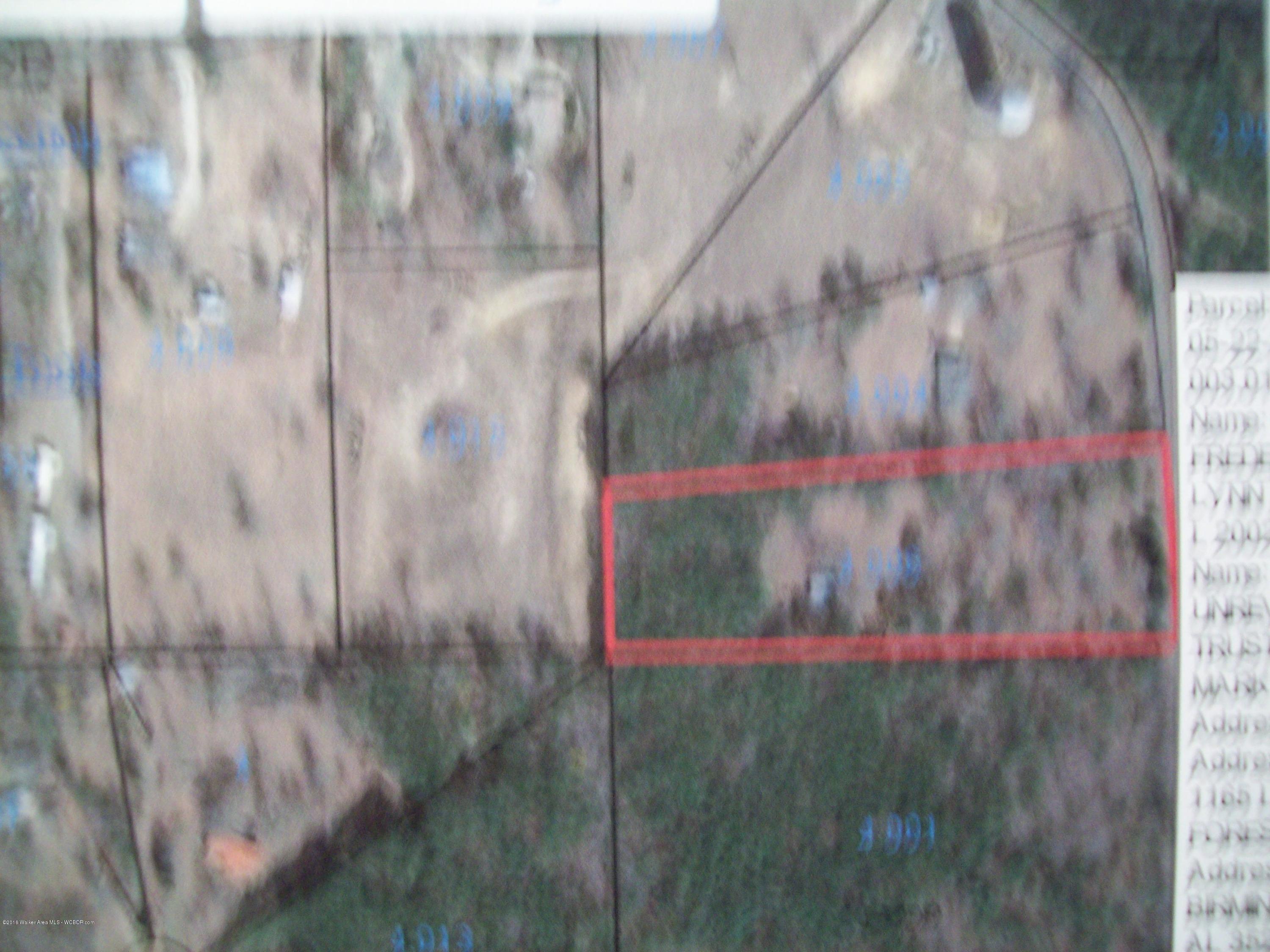 5185 Bird Farm Road Jasper, AL 35503 - Photo 2 of 11 Gallery Image 2