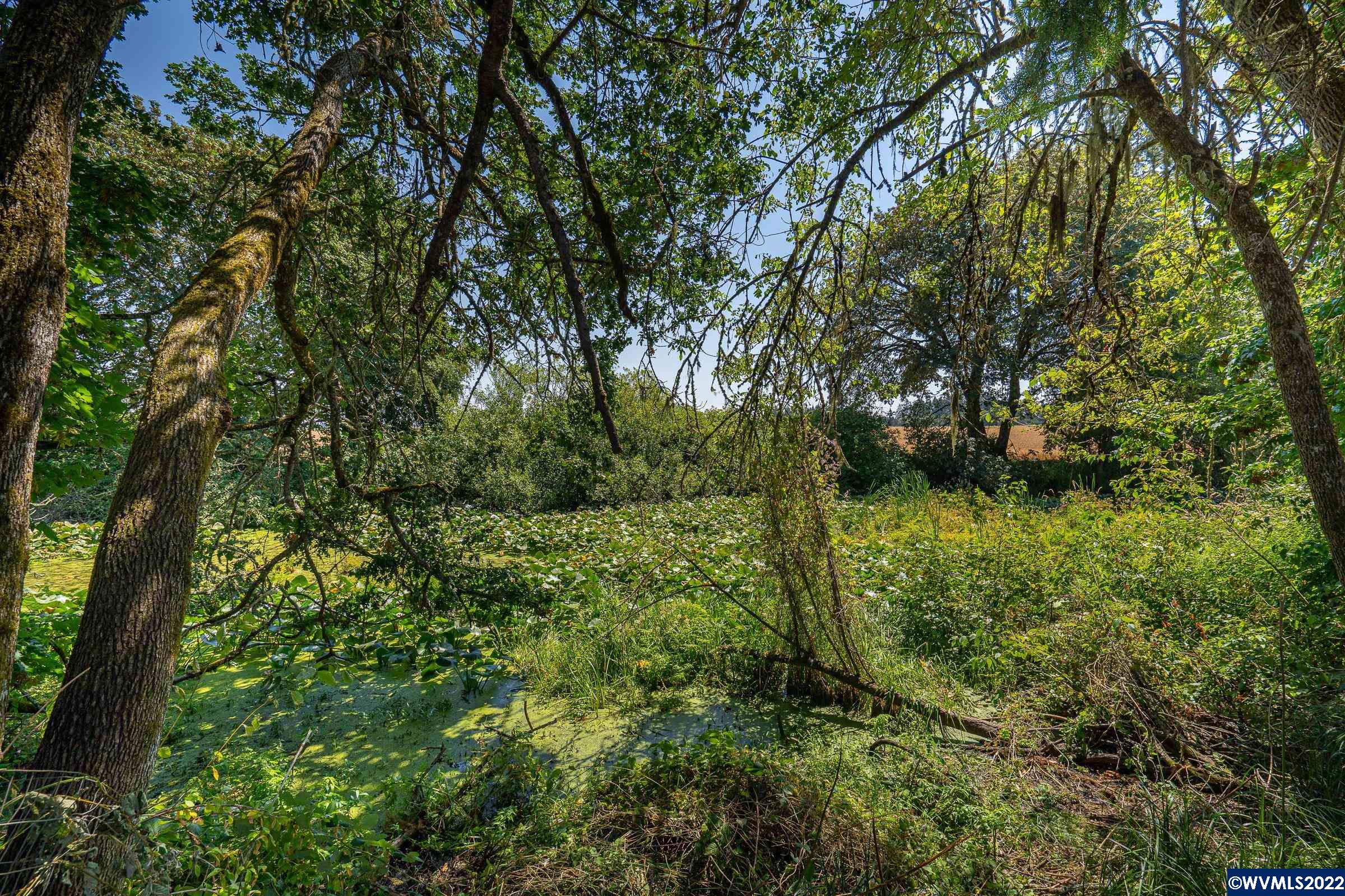 003 Southeast White Oak (next To) Road Corvallis, OR 97333 - Photo 12 of 24