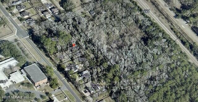 0 Old Kings Road Jacksonville, FL 32219 - Photo 1 of 1 a view of a forest with a tree
