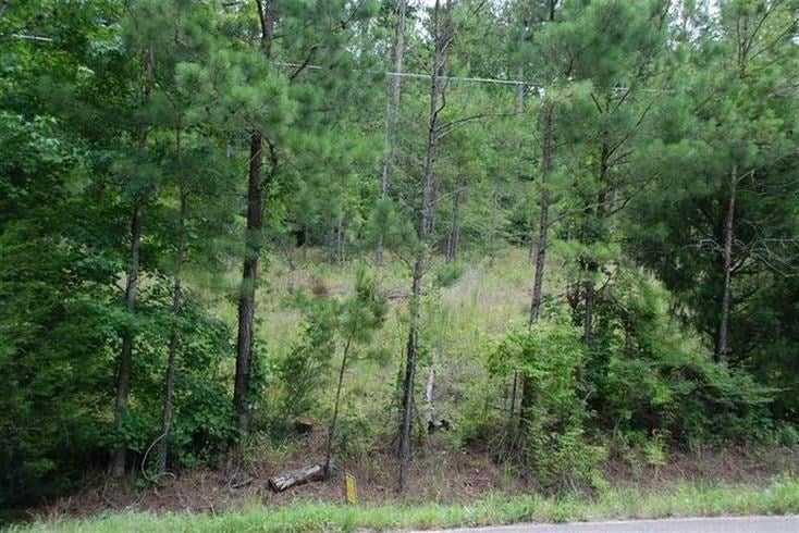 1.15-ac Sandy Landing Road Andalusia, AL 36421 - Photo 4 of 6 Gallery Image 4