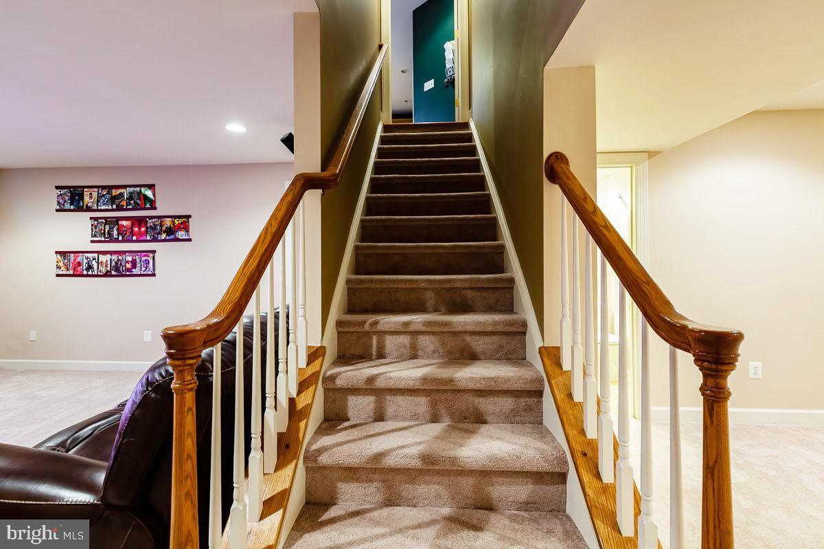 313 Kennard Road Perkasie, PA 18944 - Photo 21 of 32 Finished Basement with Natural Light and Full Bath