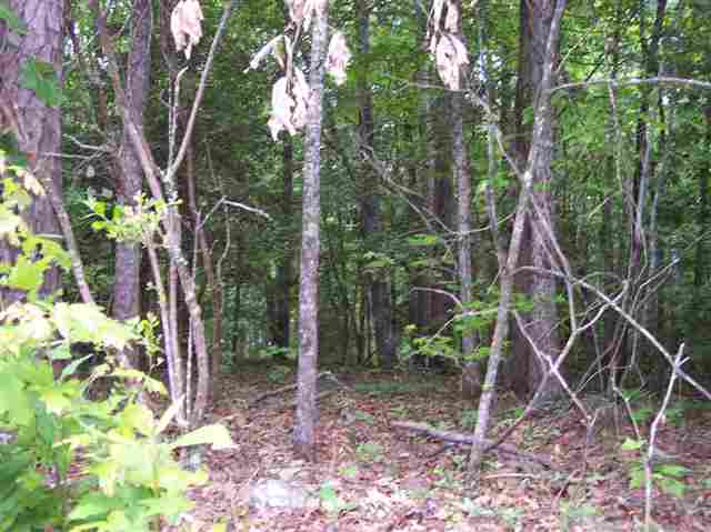 Lot 11 Dynamite Road Salem, SC 29676 - Photo 2 of 5 Gallery Image 2