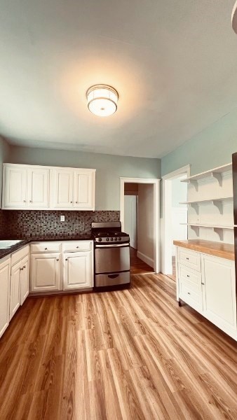 7 Greycliff Road, Unit 1 Boston, MA 02135 - Photo 4 of 10